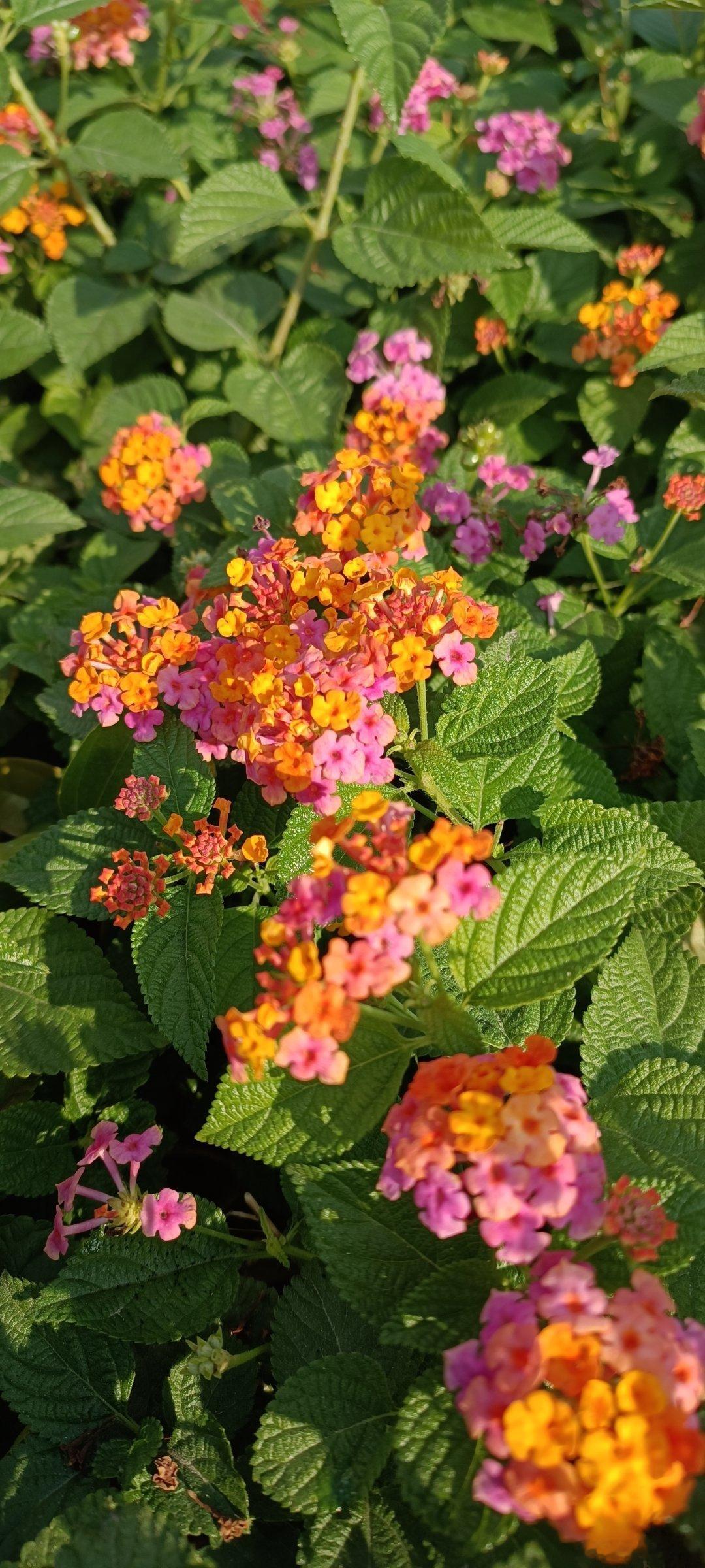 我到这个年纪已经没有什么人际关系的困扰了，因为除了家人，就没有什么正经的人际关系