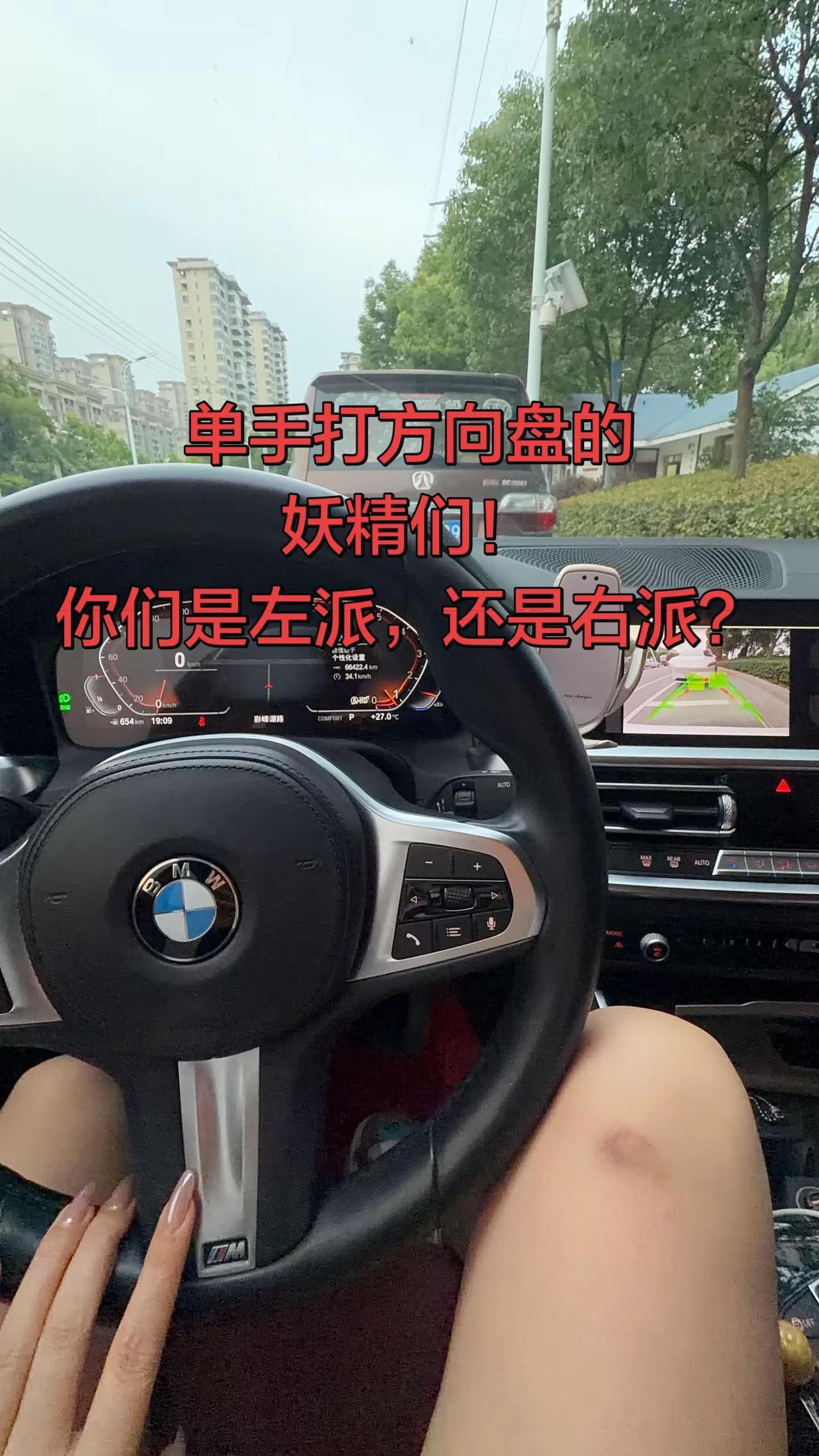 单身打方向盘的妖精们！你们是左派还是有右派的？