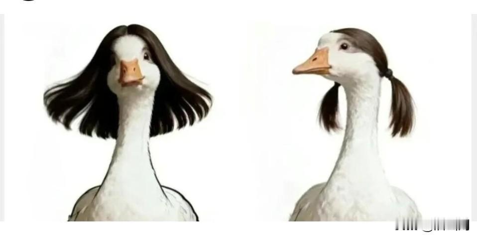 霍尔木兹海峡，昨日暂启通行，今夕伊朗复行封锁。
其责美利坚背信弃义，仍于峡口巡弋