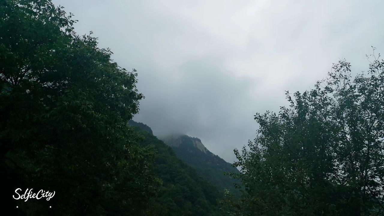 春日生活打卡季山雾漫过层林，羊群踏过溪石，藏在竹林深处的木屋，装下了所有山野的温