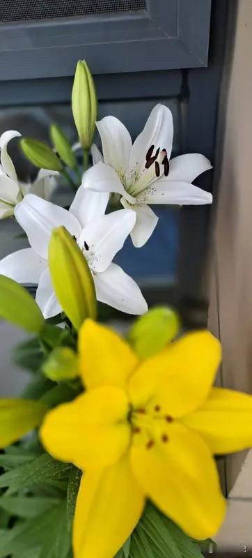 幸福就是，医院没有病人，家里一团和气，父母健康，儿女健康，孙子健康，
自己健康，