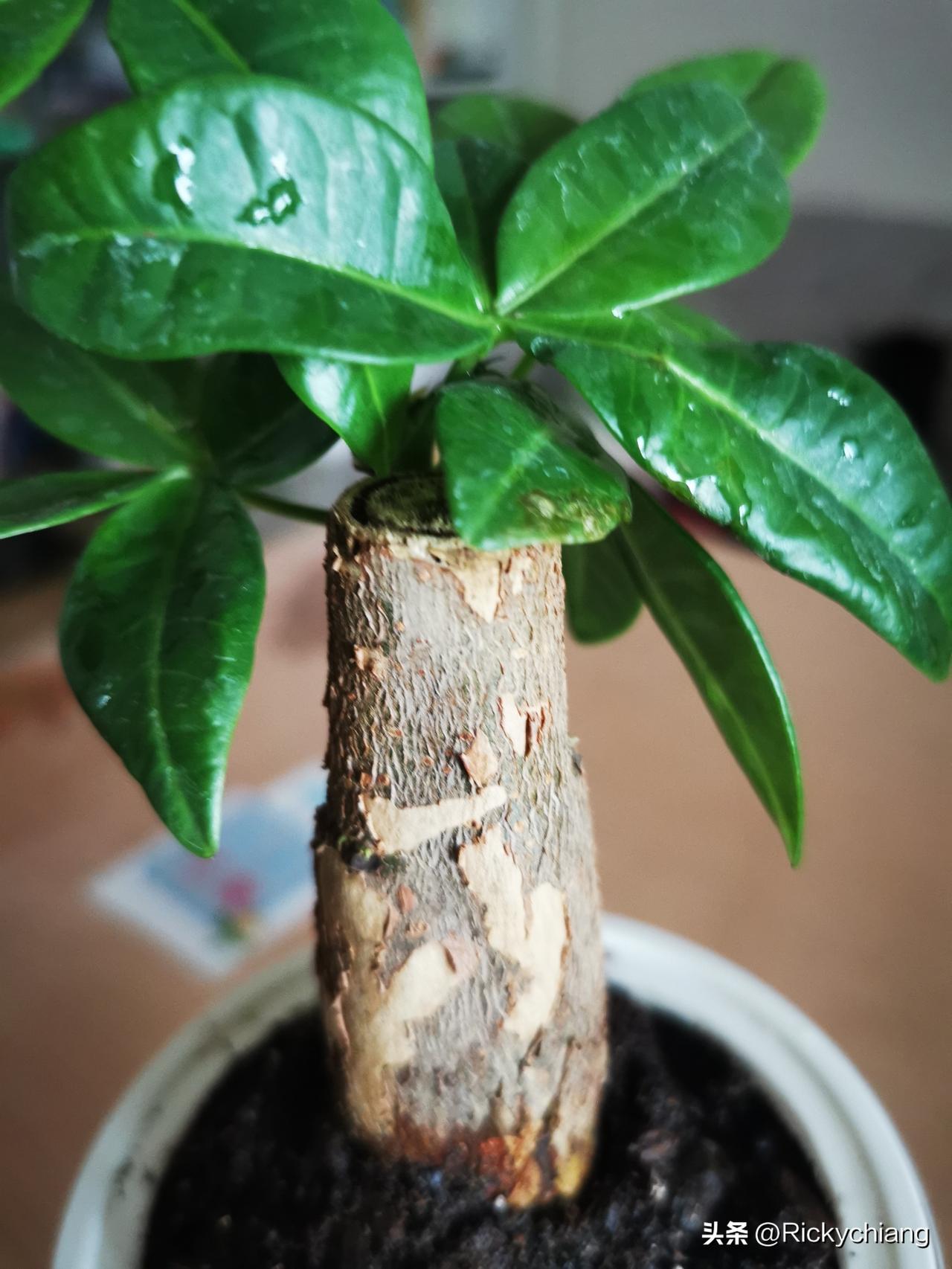 自我觉醒，才能跳出打工思维。

普通人想实现巴菲特说的睡觉时也赚钱，真的挺难的。