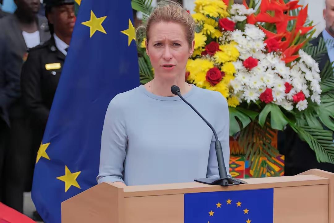 欧盟算哪根葱？傻大之一的卡拉斯竟然呼吁东盟不要购买俄罗斯石油，并给够买俄罗斯石油