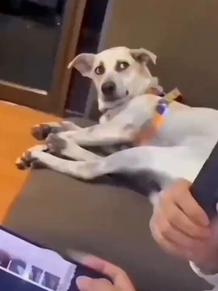 皮皮虾神评：千年等地雷。
去义乌的，马上到。