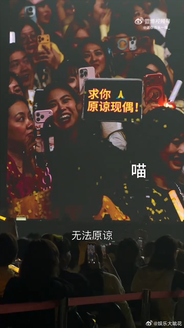 刘宇宁辟谣因为玫瑰丛生才不演现偶刘宇宁不演现偶的原因 刘宇宁演唱会回应：原谅现偶