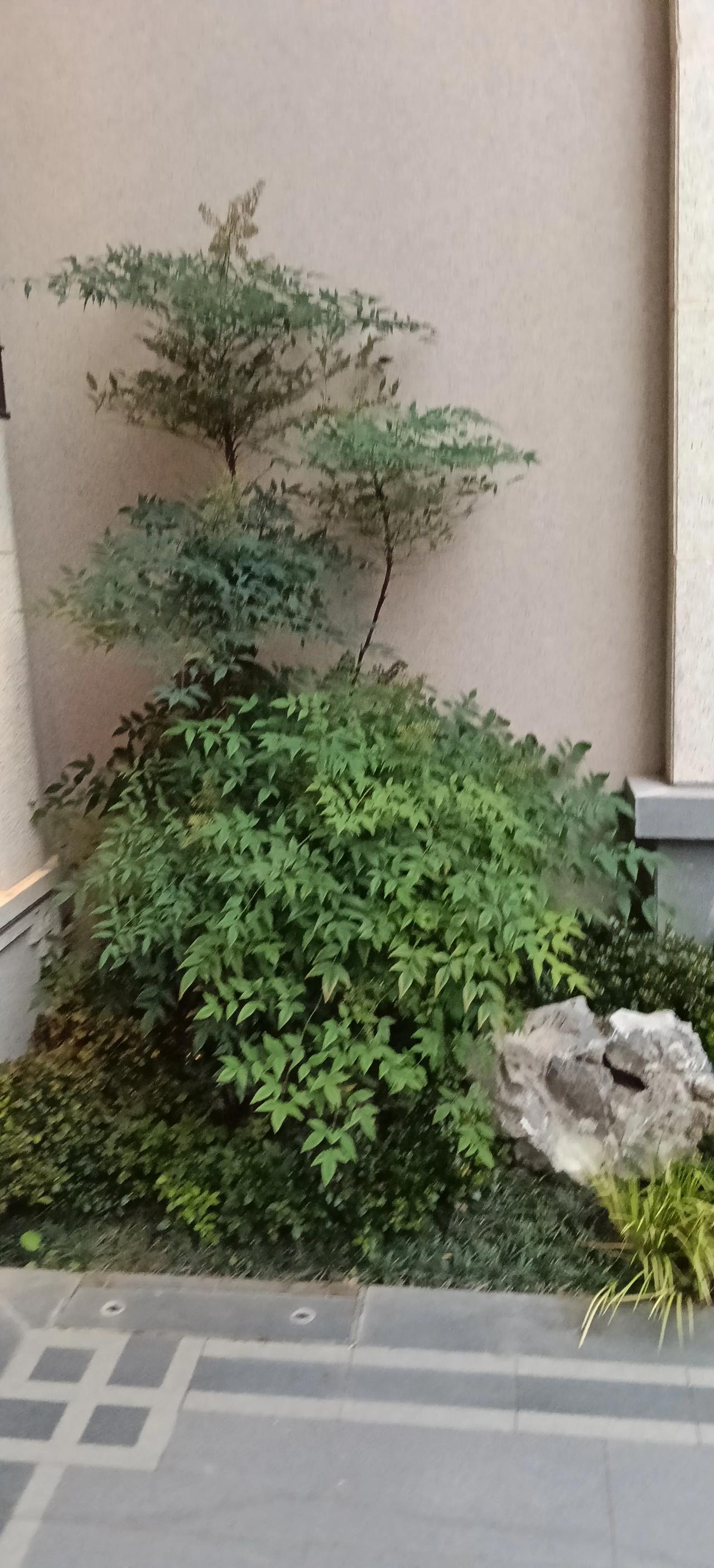 田兴是朱元璋早年患难之交，在其落魄时倾力相助，赠予钱粮马匹，助力朱元璋招兵起家。