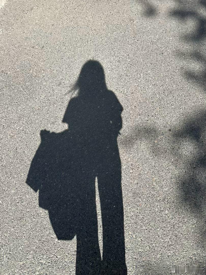 努力搬砖哈哈哈