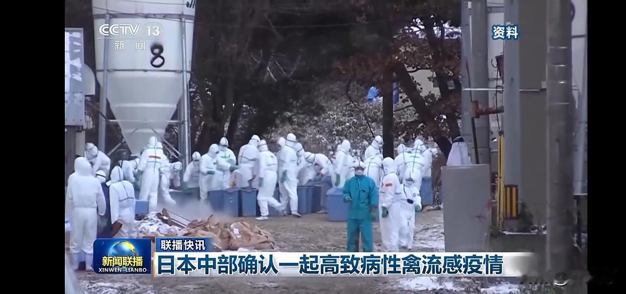 日本中部确认一起高致病性禽流感疫情，防疫人员紧急行动
