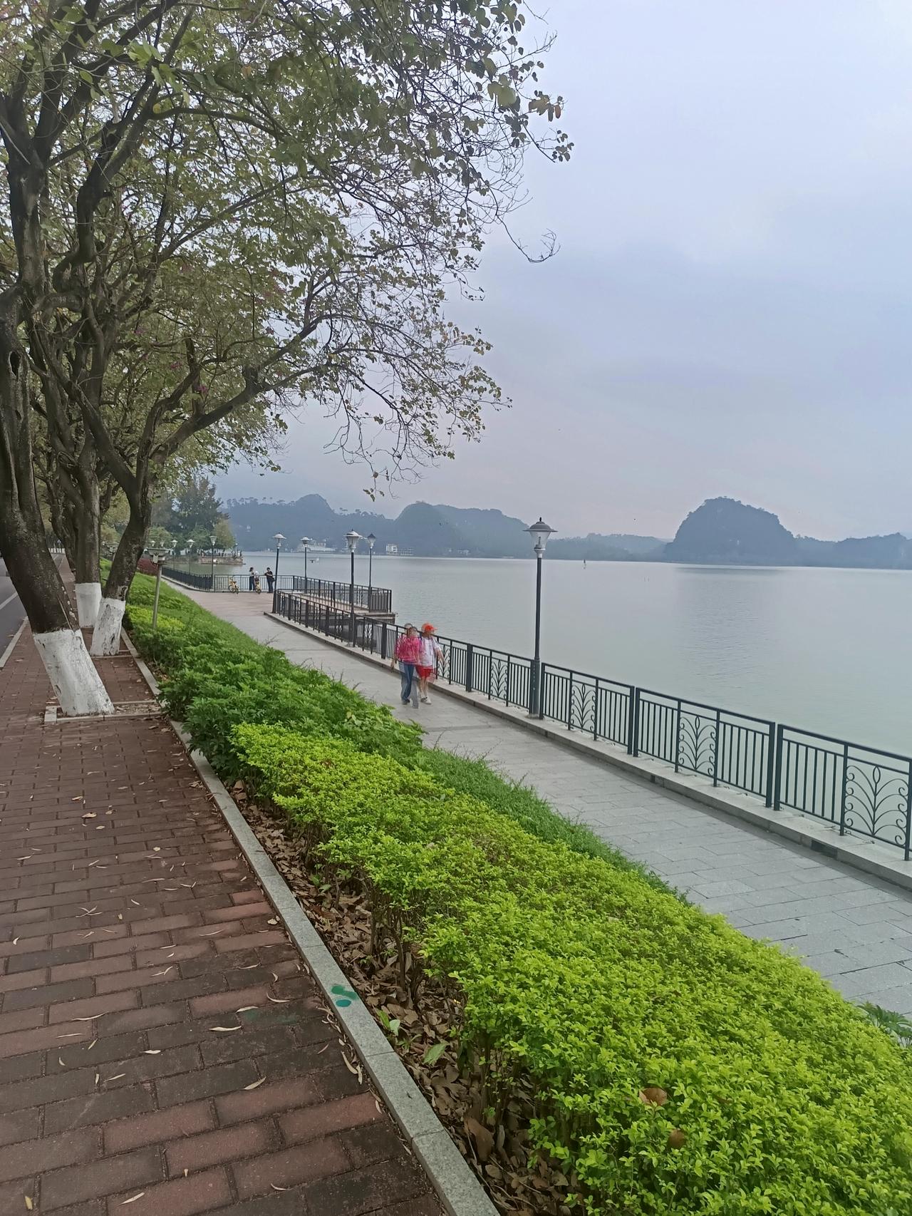 早上在星湖旁边
发现一个很严重的问题
但不知道怎么说才好





你敢相信吗？