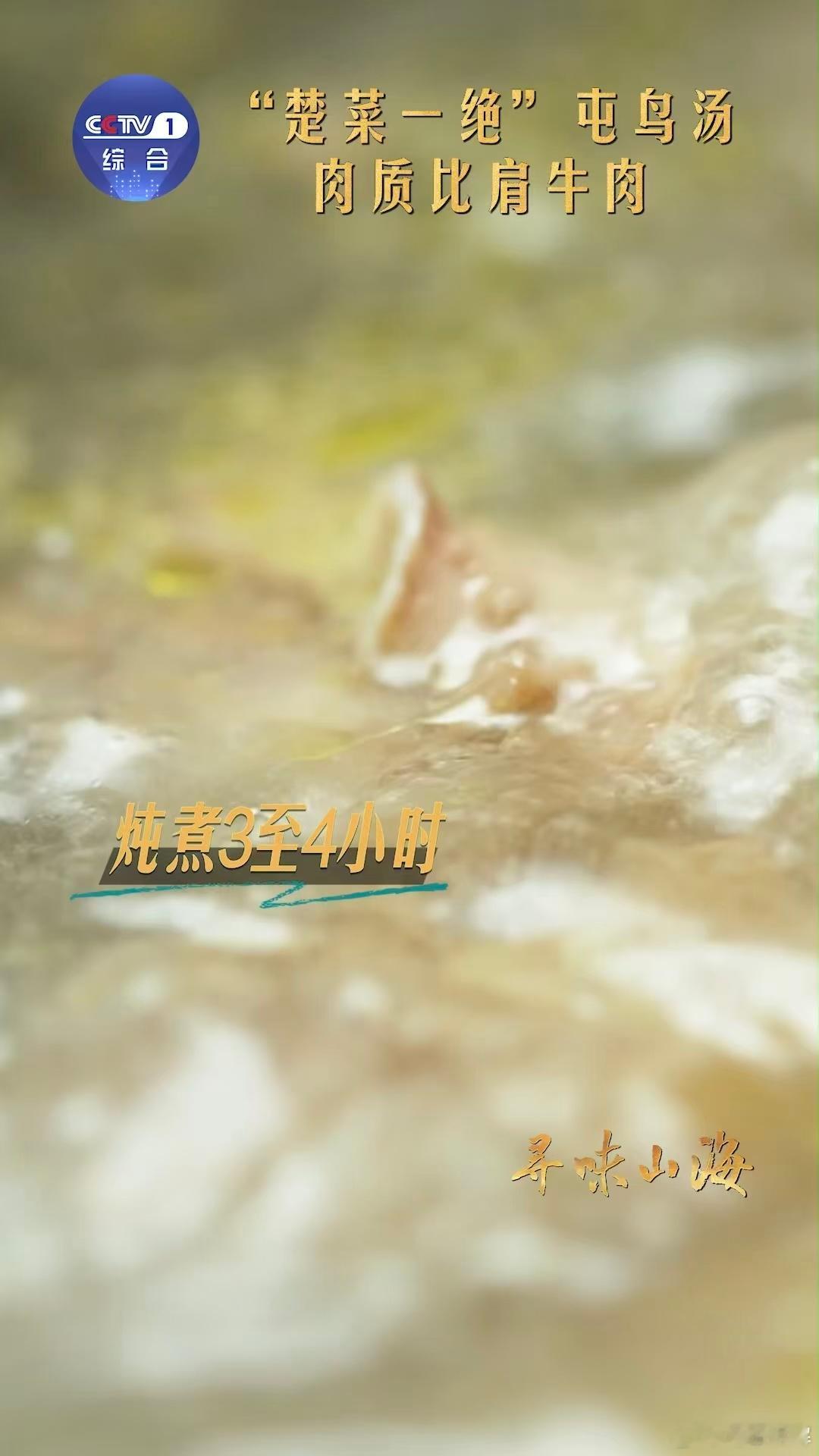 降温了多喝这碗元气汤楚菜一绝的鸭汤究竟有多鲜 楚菜一绝的底气在这！阳新屯鸟肉质紧