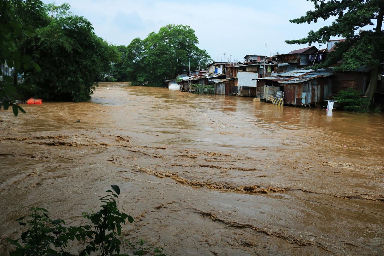 小时候，洣水河每年夏天总要发大水。洪水一来，沿岸的人家就遭了殃——屋子塌的塌，庄