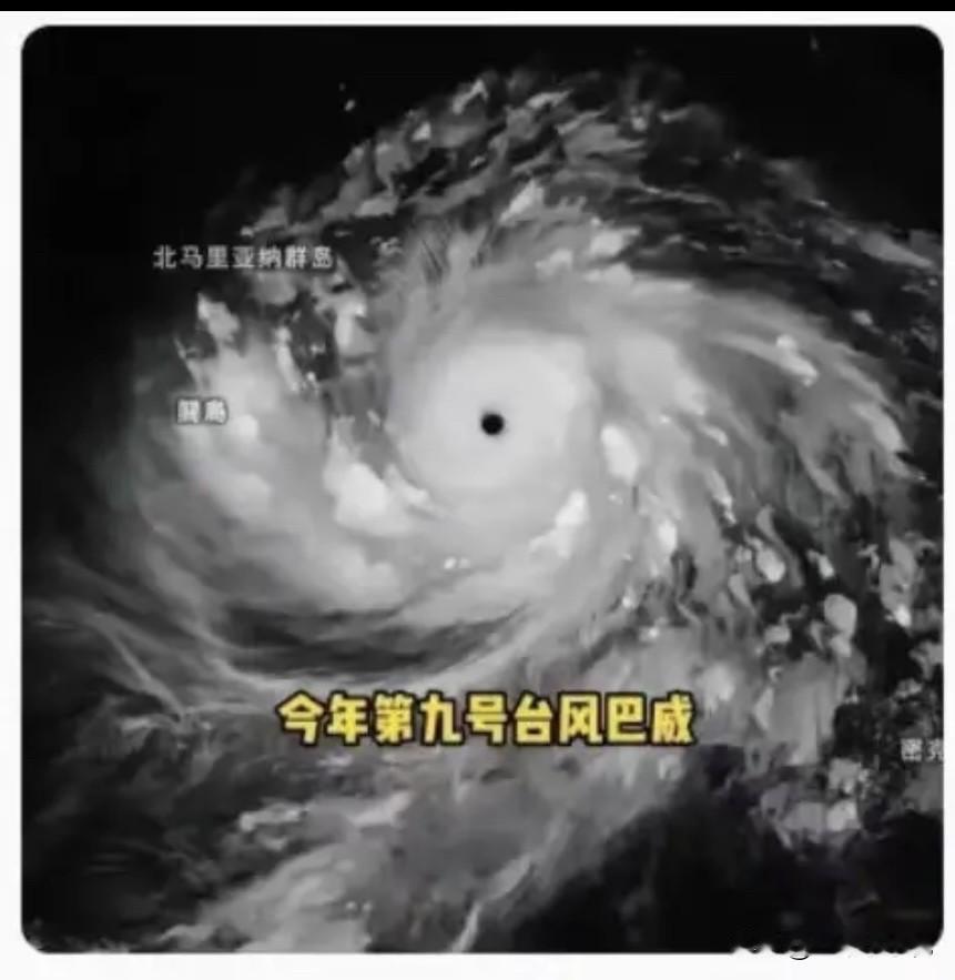 眼看着台风“巴威”步步逼近浙闽沿海，海边居民连夜转移、景区全部关停，狂风暴雨马上