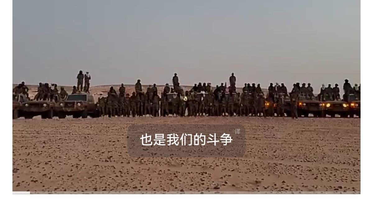 尼日尔叛军组织“爱国解放阵线”（FPL）宣布进行全面重组，与另外两个叛军团体FA