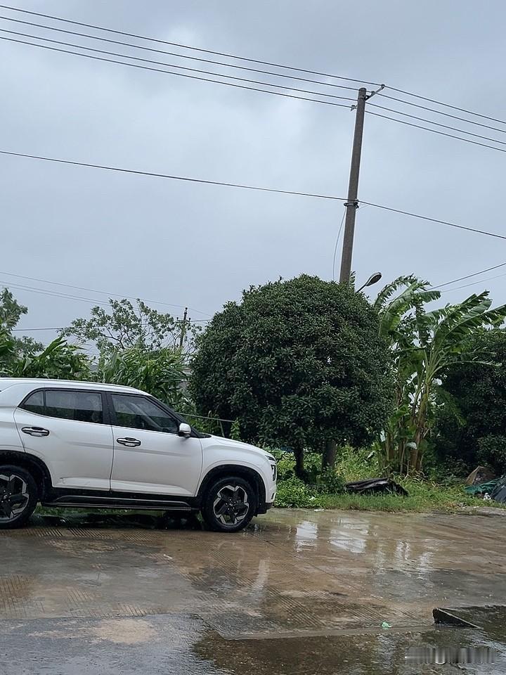 城里不敢待，回到农村老家后，开始下大雨了，目前风力一般，雨时大时小，门前菜园里的
