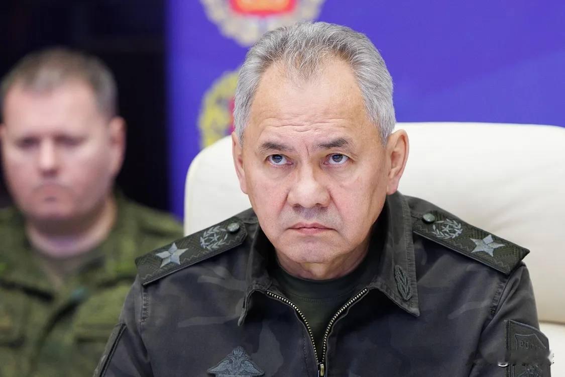 绍伊古：俄有权对芬兰和波罗的海三国行使“自卫权”

4月16日，俄罗斯联邦安全会