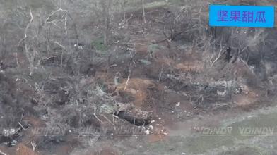 扎波罗热胡里艾伯勒附近，东部集群第35集团军的无人机操作员正在清理田野边的树林，