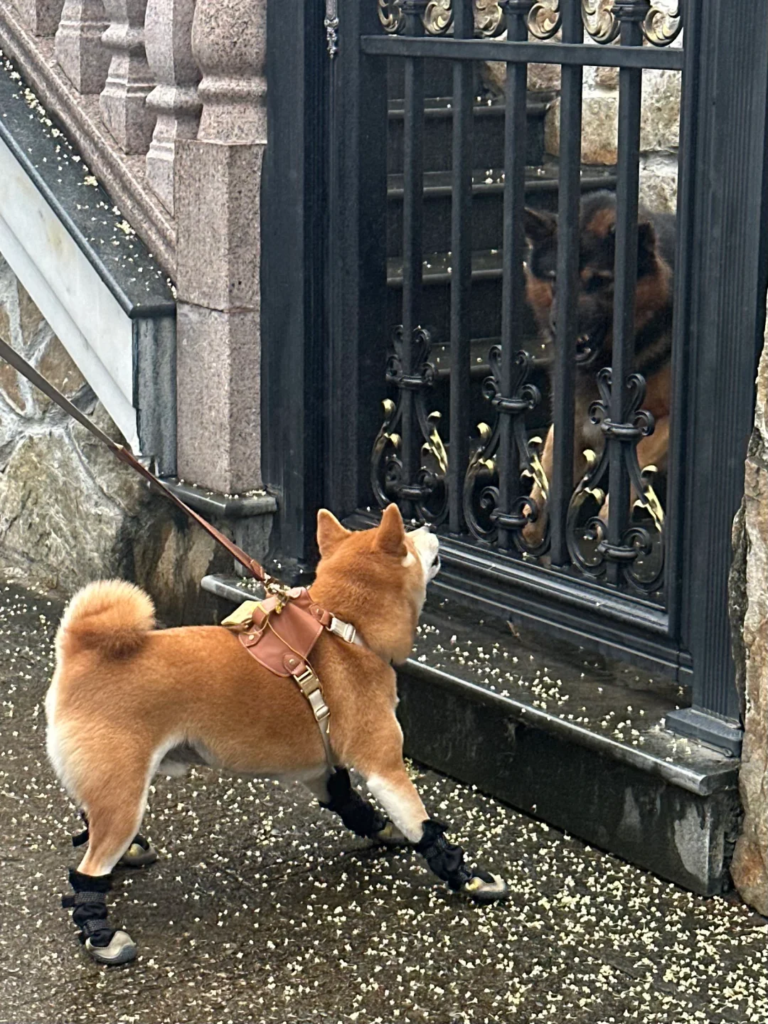 告诉俺娘！俺不是孬种！