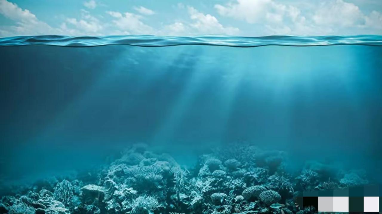 我国1月6日加强对日稀土等两用物项出口管制后，日本将于1月11日启动6000公尺