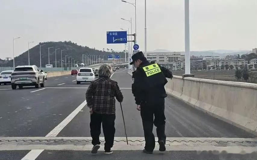老人迷路误入高架桥台州民警暖心守护台州民警太暖心！老人迷路误闯高架桥，车流中民警