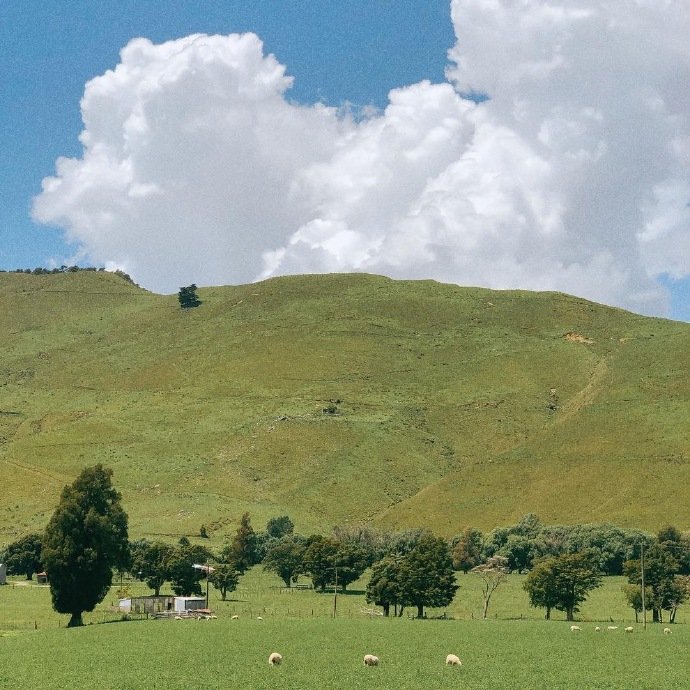 他爱过，还找到了自我。但大多数人的爱，都只为失去自我。| 赫尔曼·黑塞《德米安》