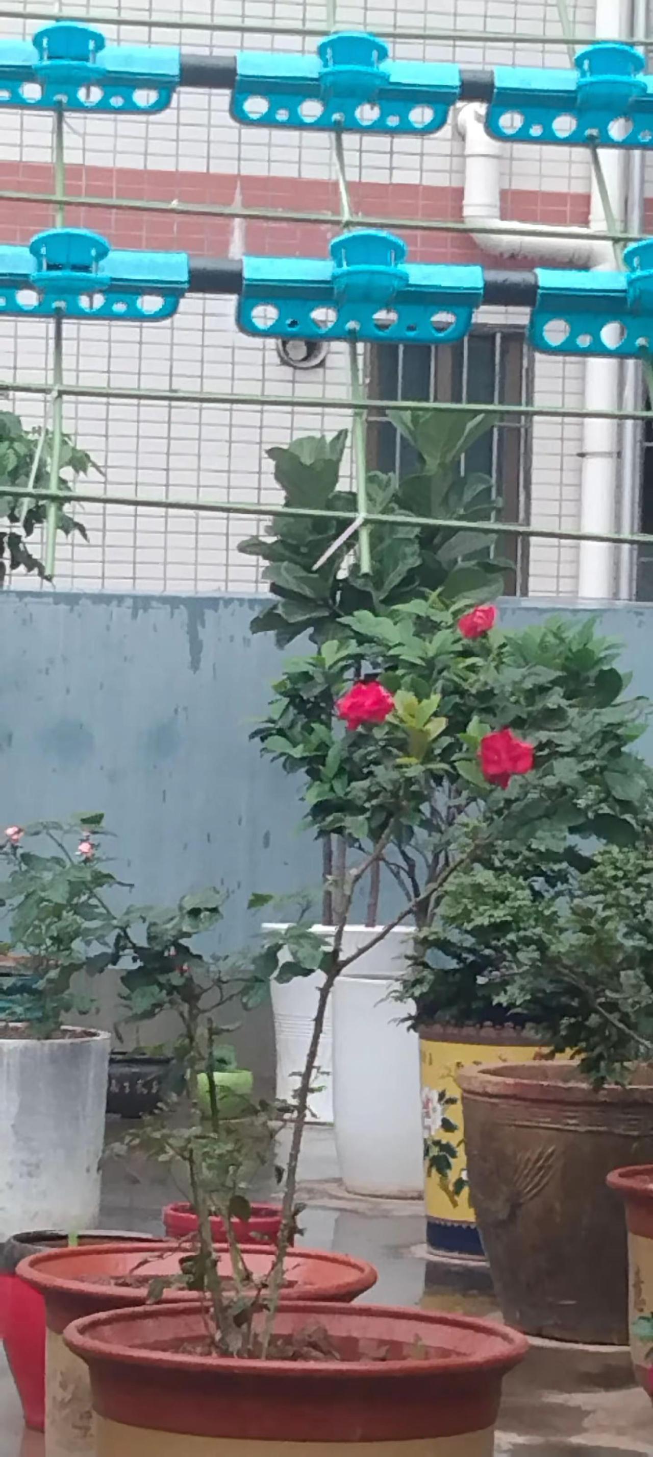 夫妻俩如果敢这么唱，他俩不分手算我输。