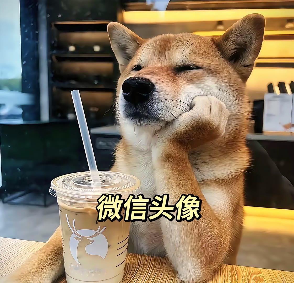 高清头像 微信头像 优质头像