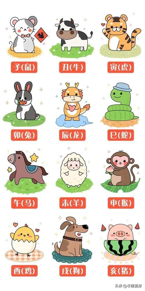 网传12生肖情商财商打分｜娱乐向
 
1.鸡：情商有90，财商有90。
2.狗：