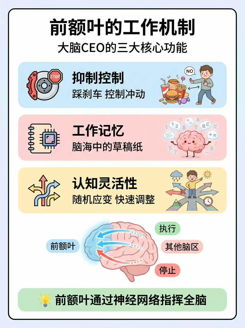 感觉自己的前额叶被尊重了熬夜的人天塌了……… 