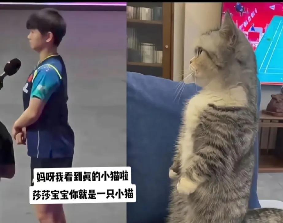 这届网友真的有才。
无论什么动作或表情，总能找到原型，而且特别像。莎莎的站姿真绝