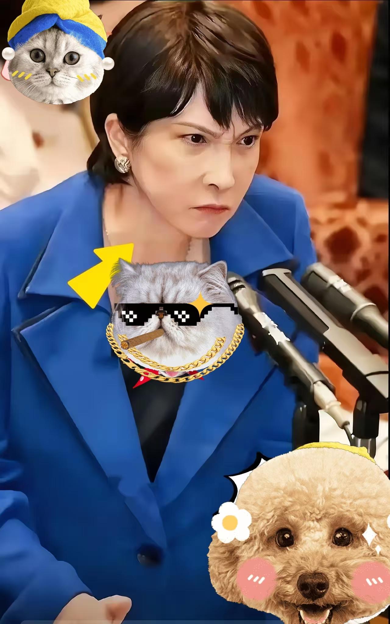 果然被我猜中了
 
日本方面宣布了!
11月14号，日本国会大厦里闹成了一片。冲