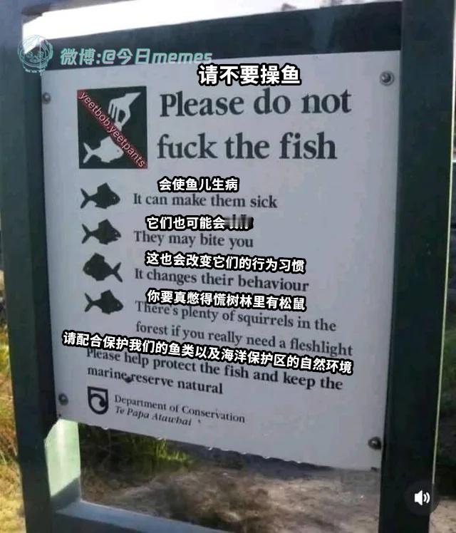 松鼠跪鱼啊（9gag）今日meme[超话] 今日memes ​​​