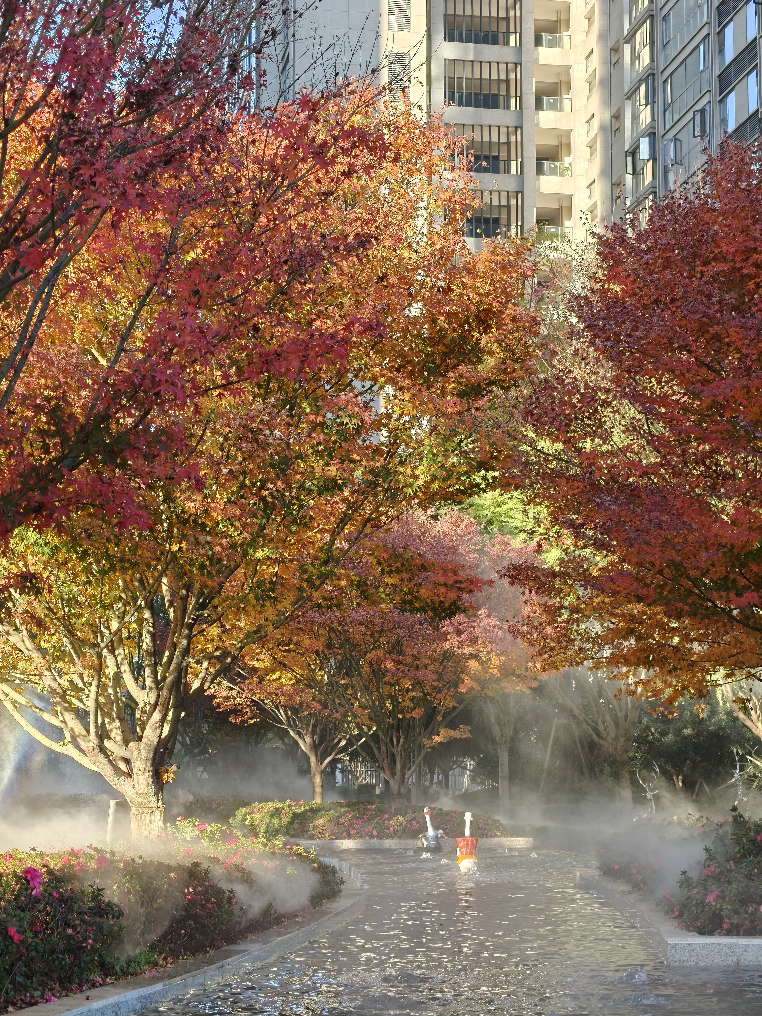 购置了一个新球，打一哈铁