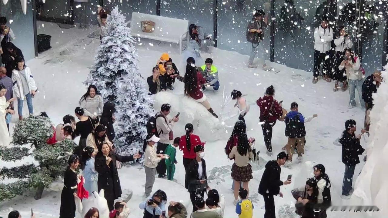 今年冬天听说深圳前海下雪了，差不多全深圳的人都过去看雪了。
真奇怪20多度的天气