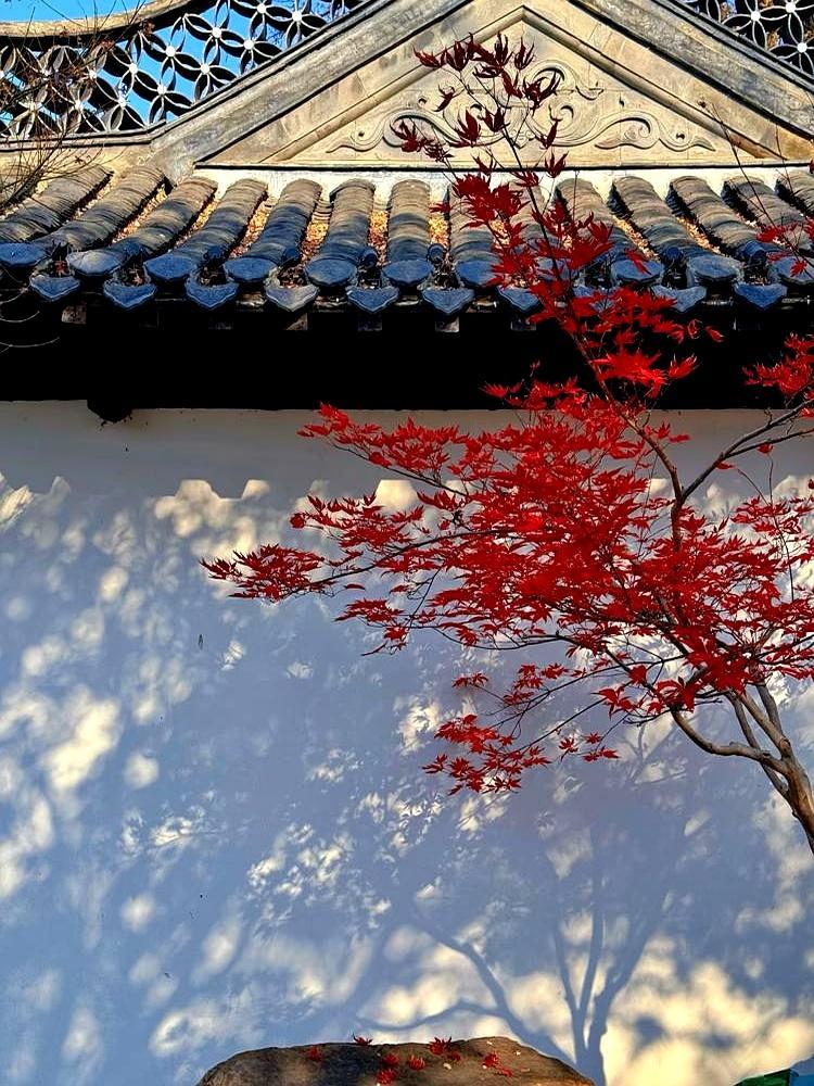 打一圈麻将，就像照一次镜子。
 
想赢？五件事别松手。
 
闭嘴。好牌别显摆，烂