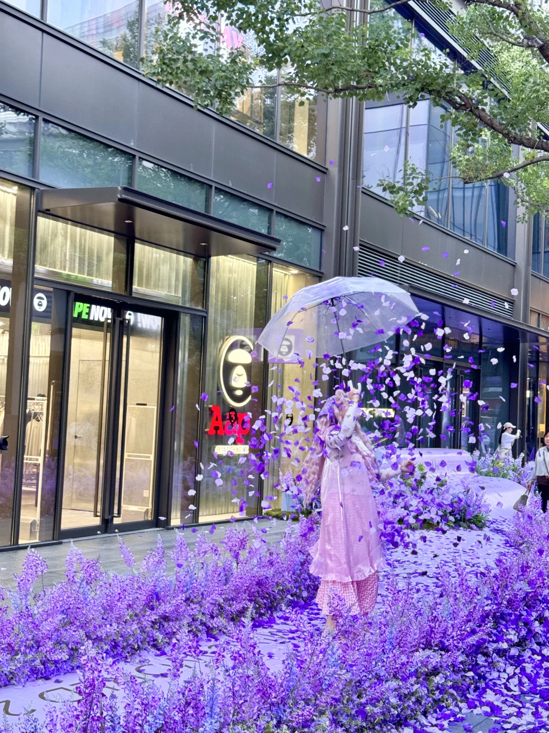 南京你真的…我哭死😭紫色花瓣雨杀疯了！