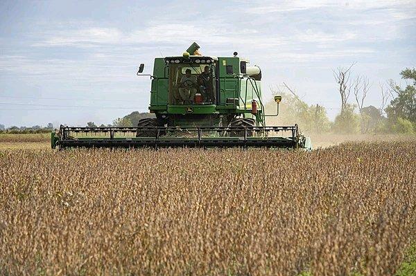 阿根廷这波操作太秀了！继大豆之后，又在高粱上发力。为增加对中国出口，它提升高粱出