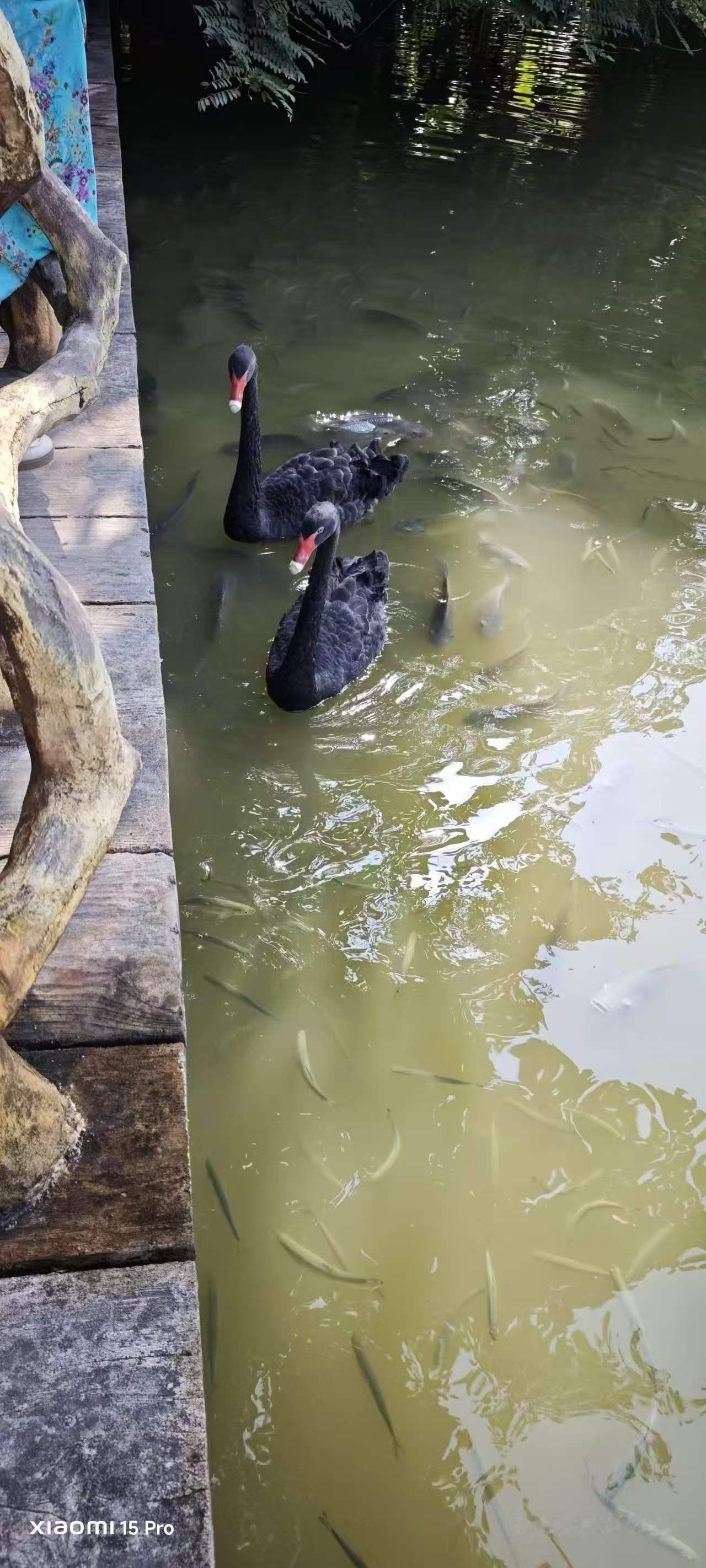 上联：天涯海角情相伴，诚邀下联我对的下联是，花前月下爱追随。