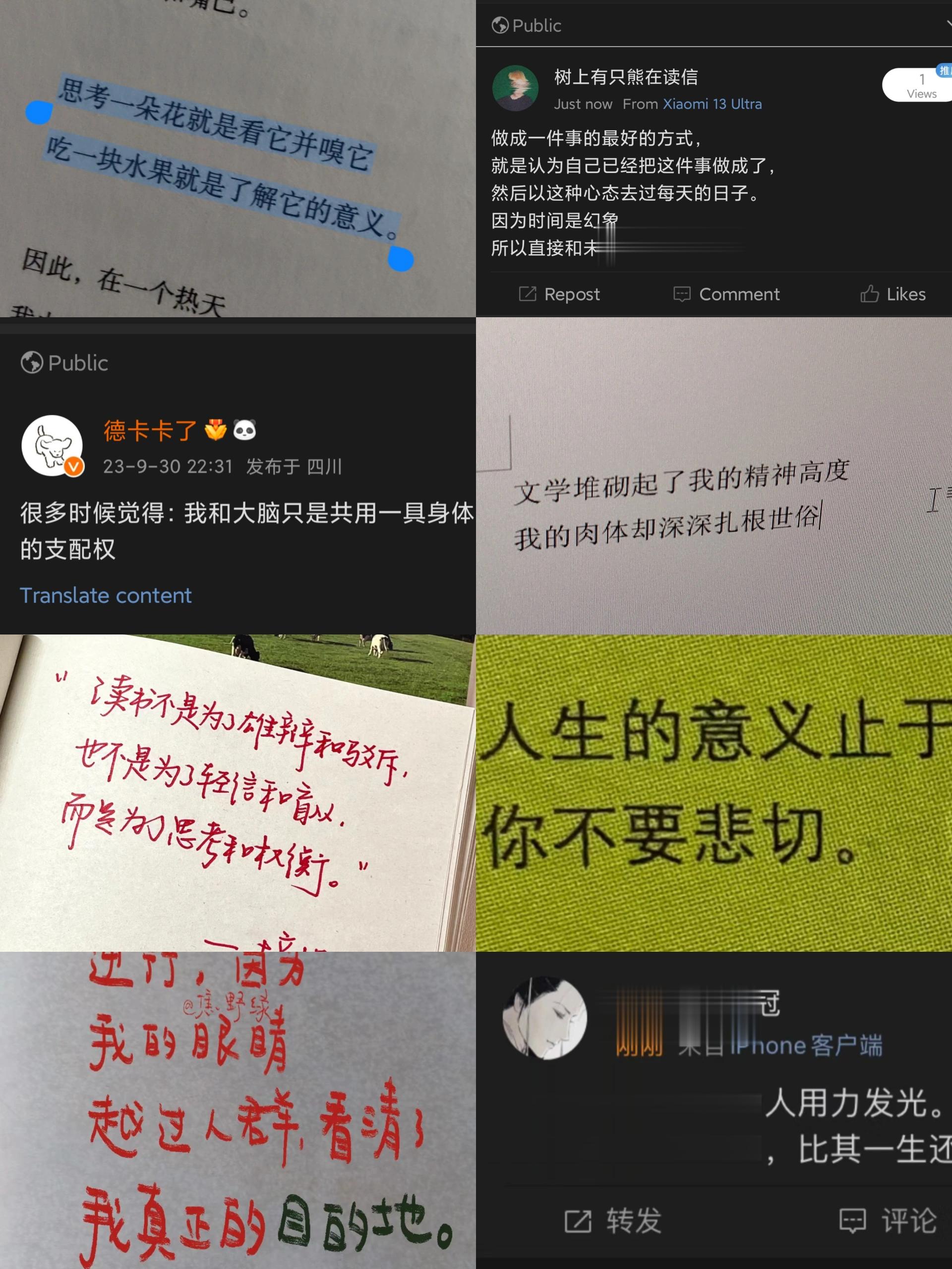 “人生的意义止于人生,你不要悲切。”cr 江枕书 ​​​
