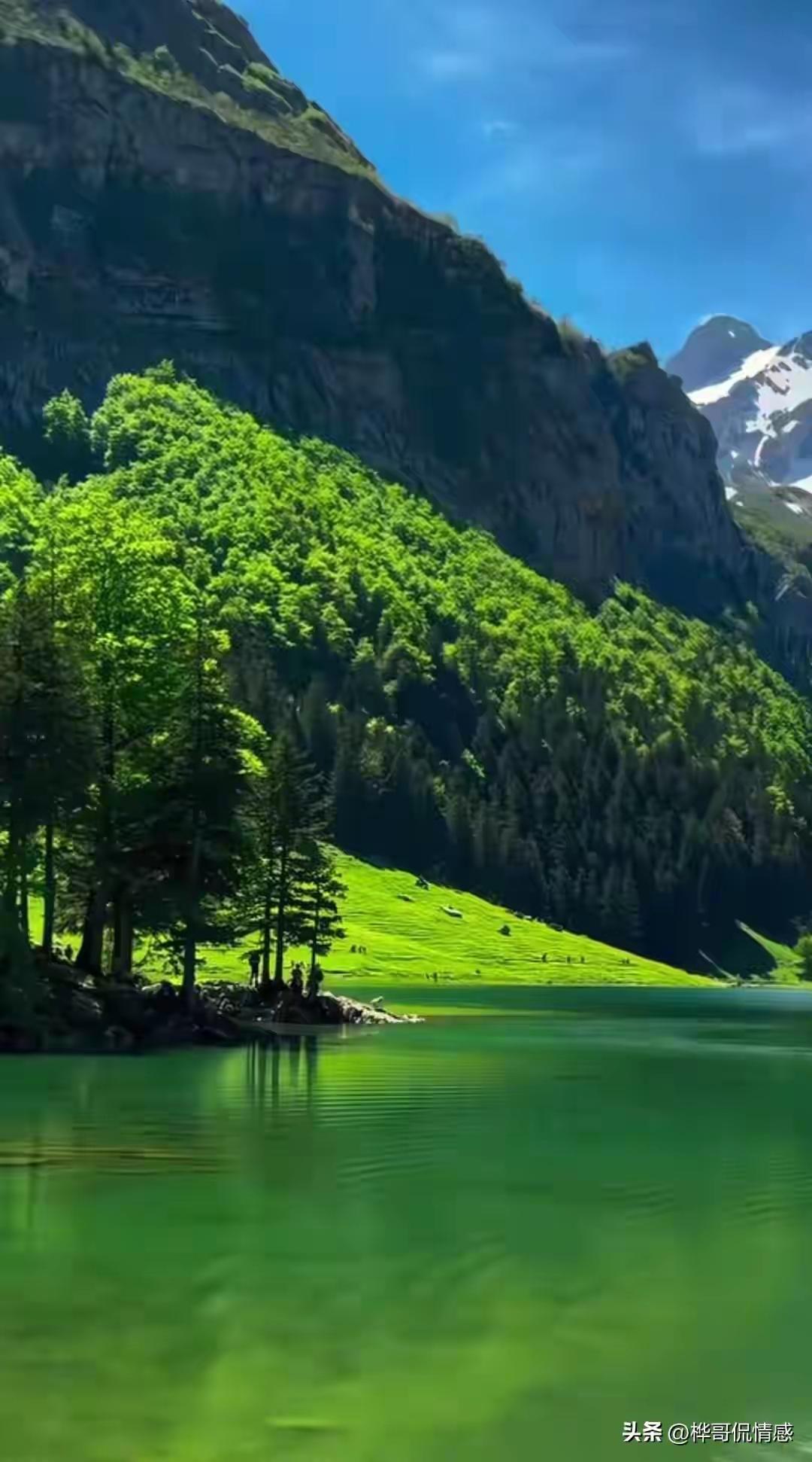 《莫叹昨日黄花，且赏今朝繁花——内外双调方得安康》

诸位朋友，您可曾见过这般光