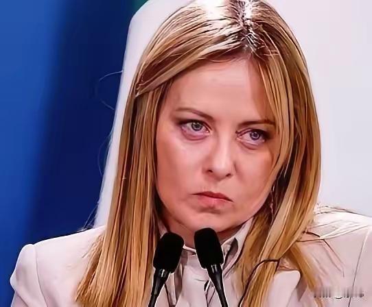 意大利总理梅洛尼，昨天语出惊人，劝欧洲国家应该不要与美国为敌，因为现在的美国，无