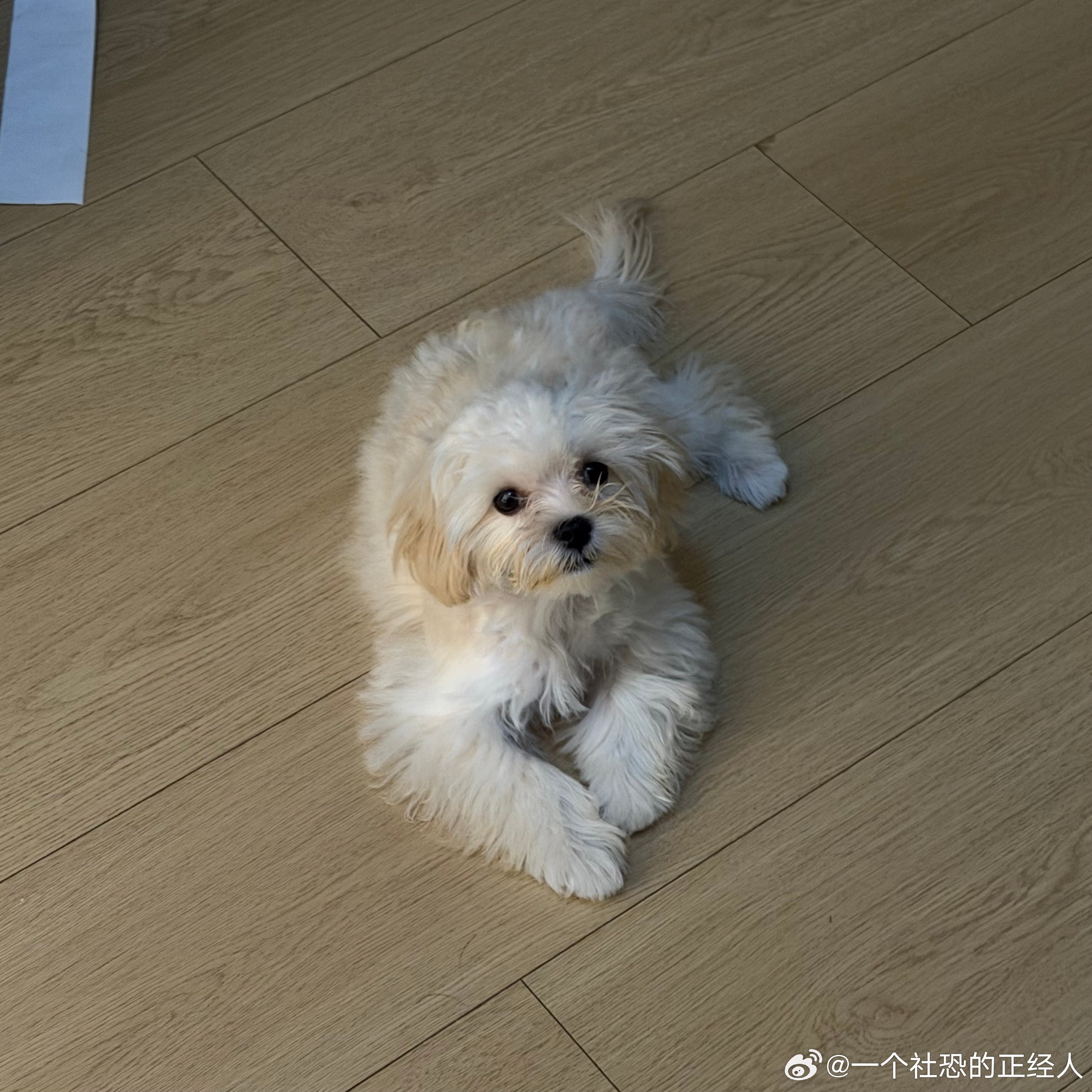 沫莉，我对你的滤镜碎了[伤心] 怎么可以吃粑粑[裂开] ​​​
