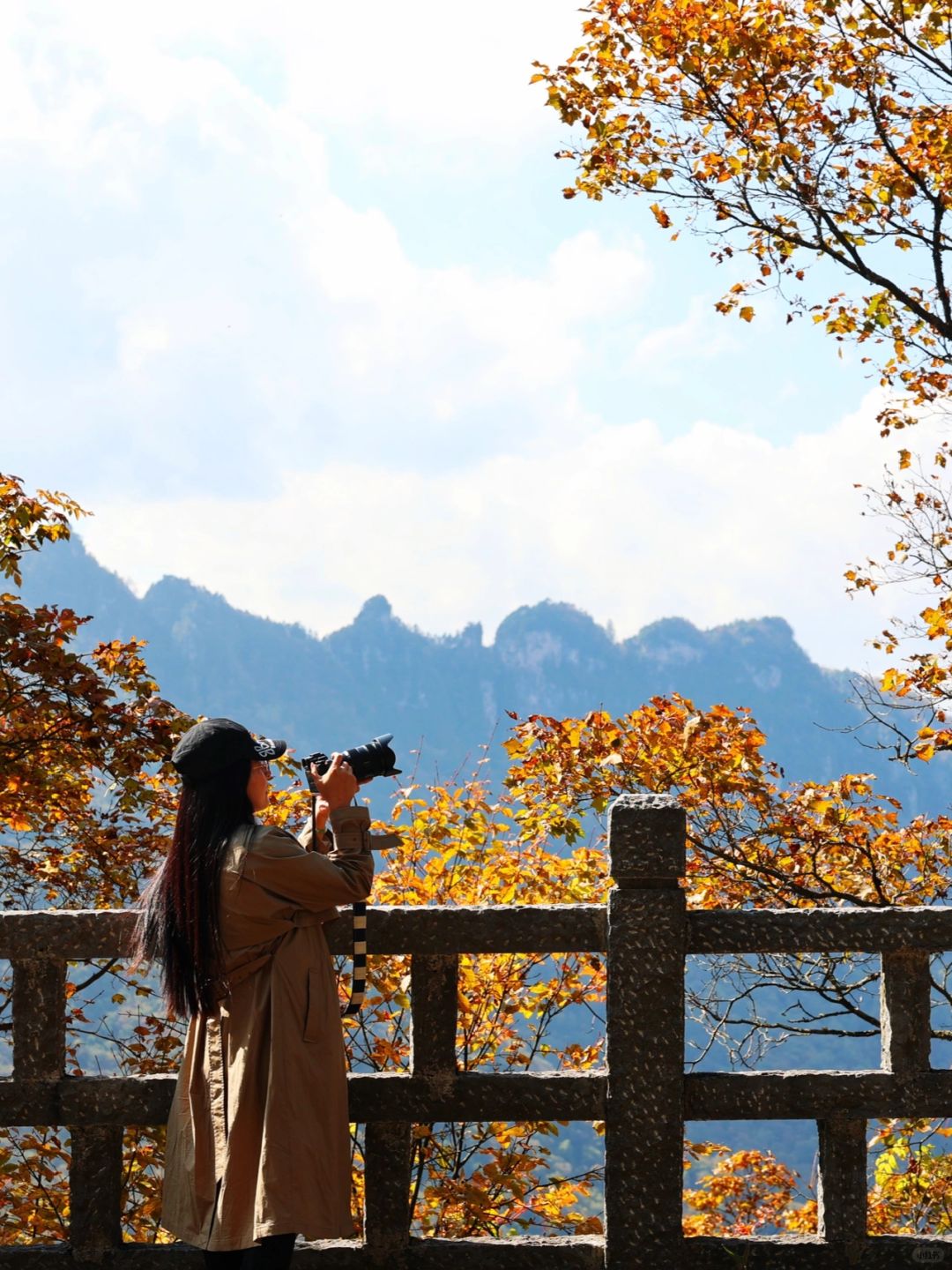 🌲秋天旅行目的地｜神农架一日游超实用攻略