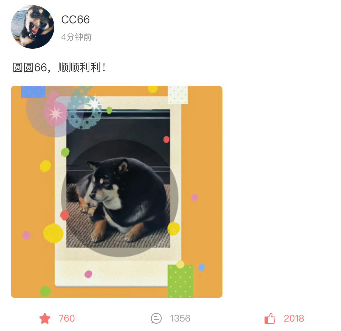 圆圆说的是66外圈的圆 绝对不是说66 嗯嗯嗯 