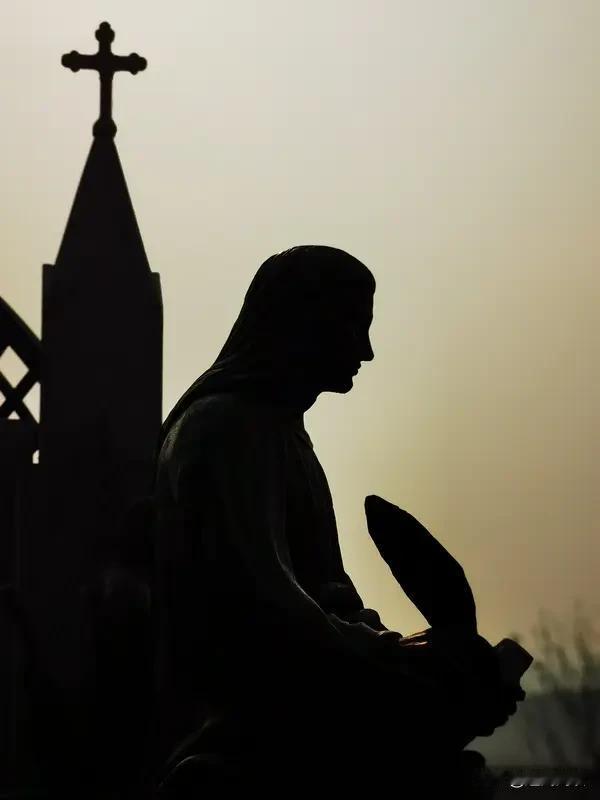 特朗普又受“委屈了”，“炮轰”反击10多亿教徒的教皇！

利奥十四世作为首位美国