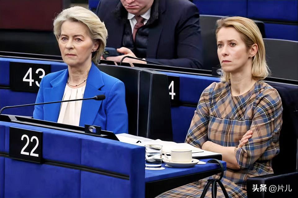 太双标了！欧盟主席遭到伊朗直接痛斥，被指最虚伪和双标。欧盟主席冯德莱恩在最新的表