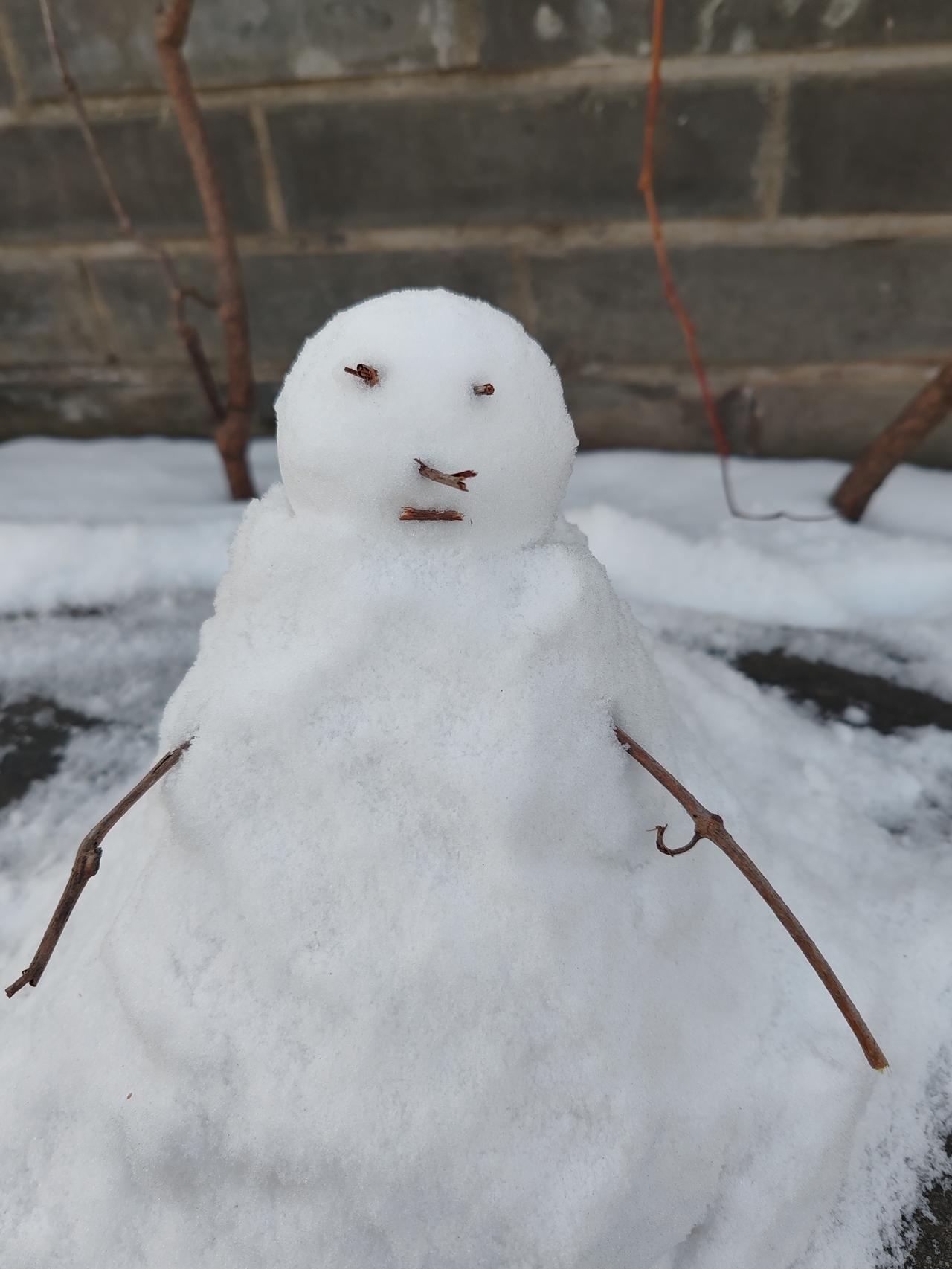 请北方的朋友晒雪照
