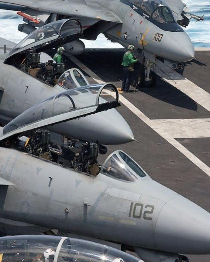 猫宁。在甲板上小憩的F-14大猫们 