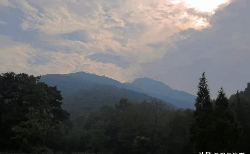 1982年春节前，社旗县小王庄枪声一响，13个人倒下，最小的才三个月。没人想到，