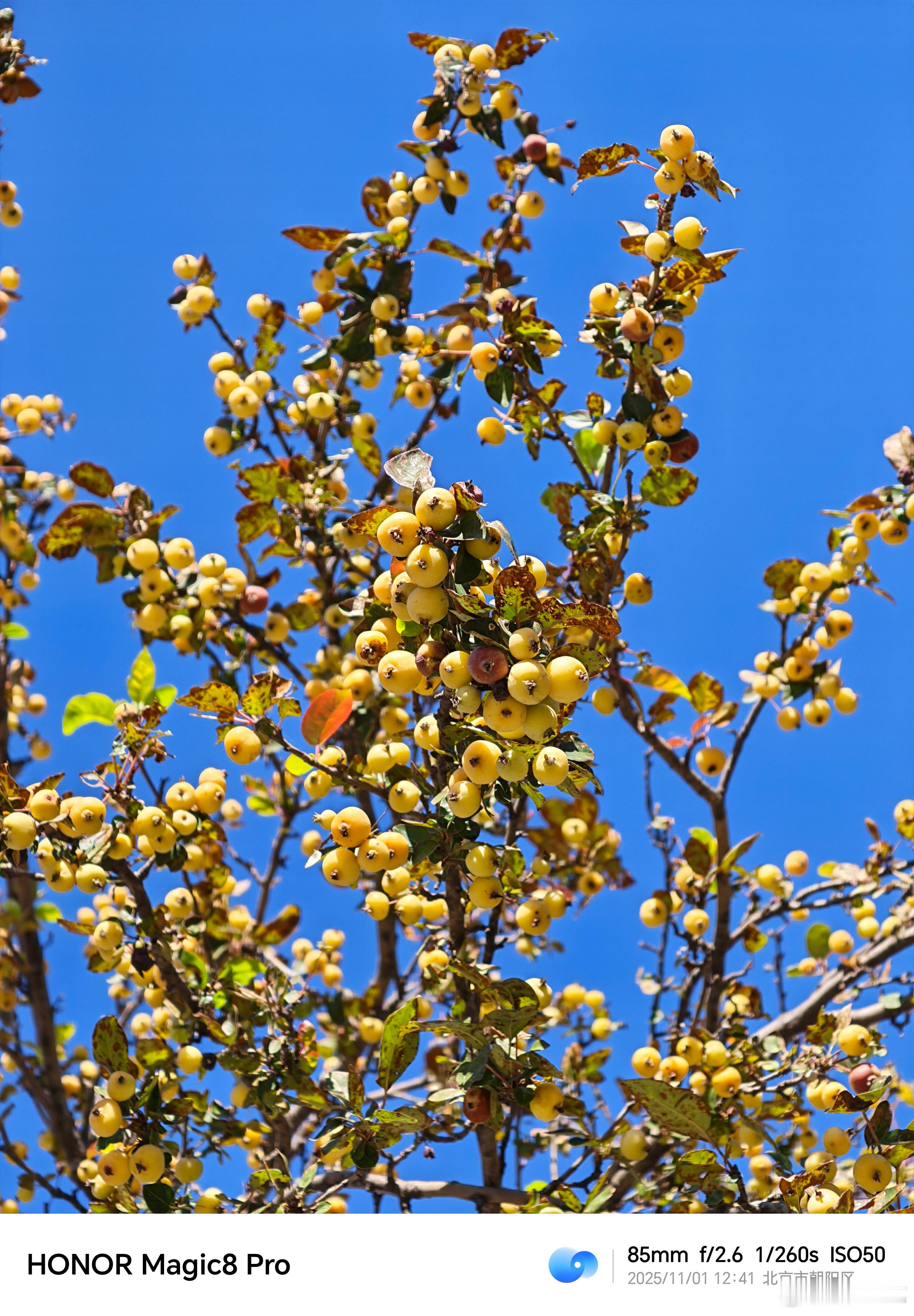 清澈的蓝天 ​​​
