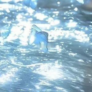 老妇人尖利的嗓音划破空气：“你这贱蹄子、赔钱货！给你寻了户好人家，嫁过去就能吃香